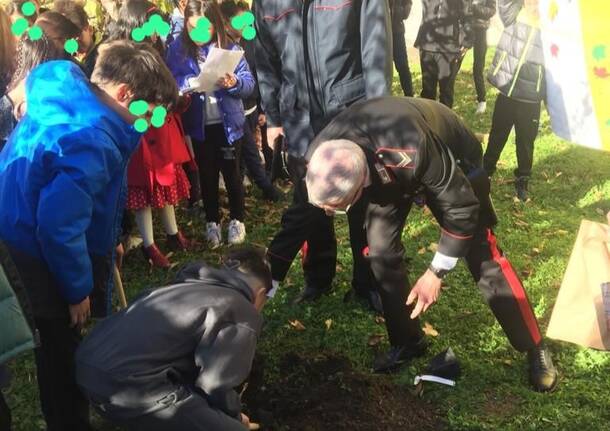 Festa dell'albero alla mazzini