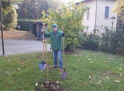 Festa dell'albero alla scuola europea