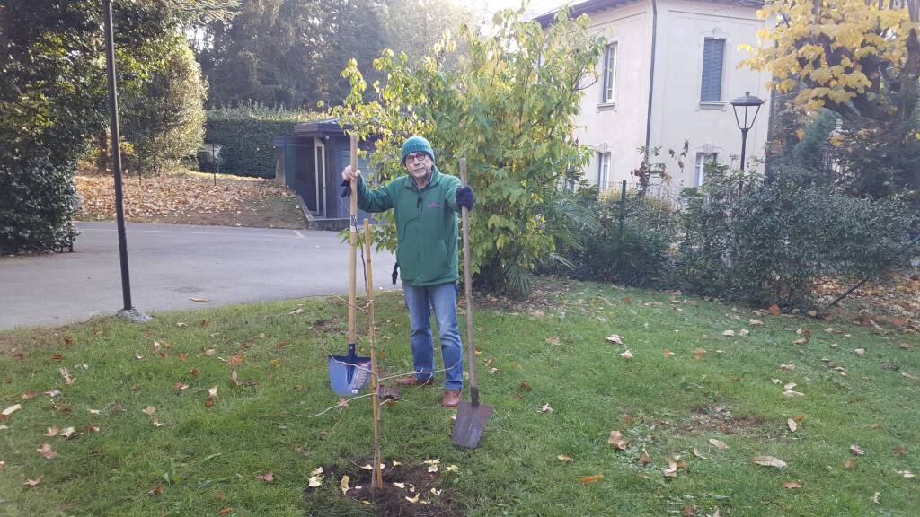 Festa dell'albero alla scuola europea