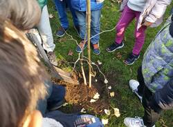 Festa dell'albero alla scuola europea