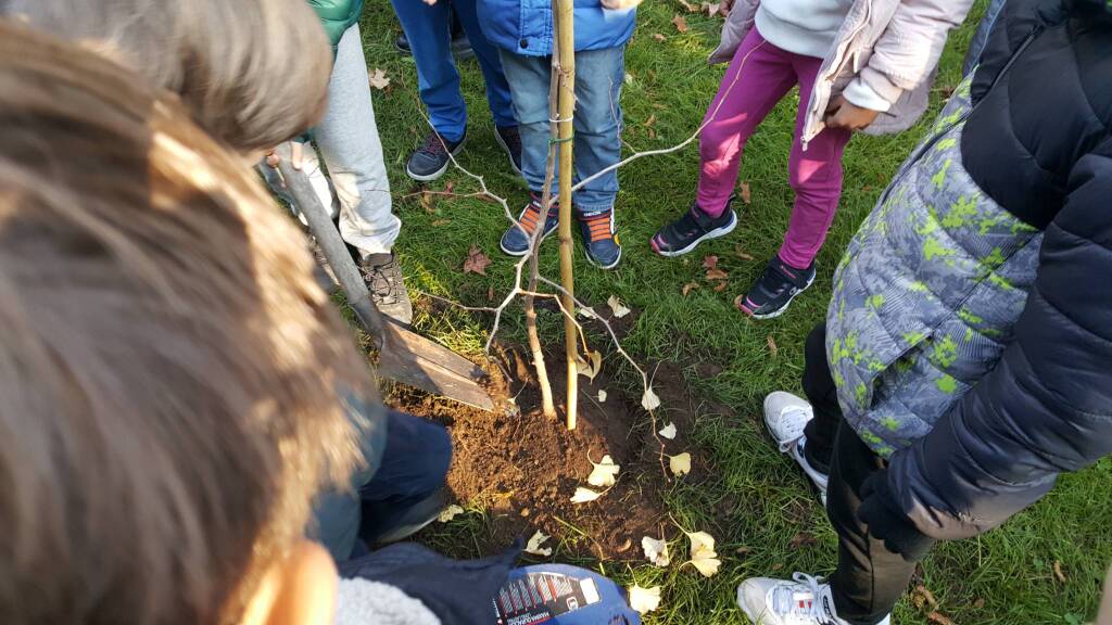 Festa dell'albero alla scuola europea