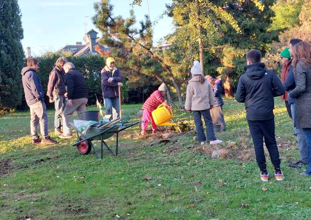 festa dell'albero nerviano