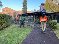 Fondazione Molina giornata degli alberi