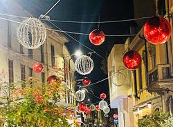 gallarate generico 