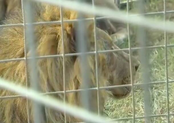 Generico 06 Nov 2023