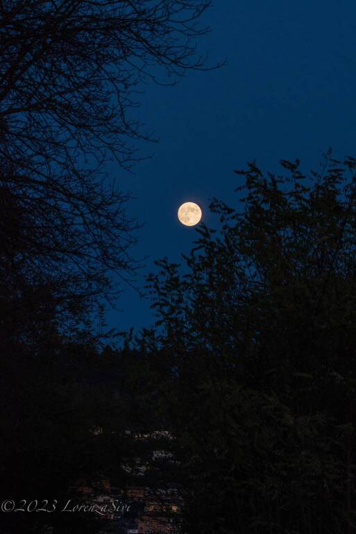 Guarda che luna e che tramonto, le foto di Lorenza Sivi