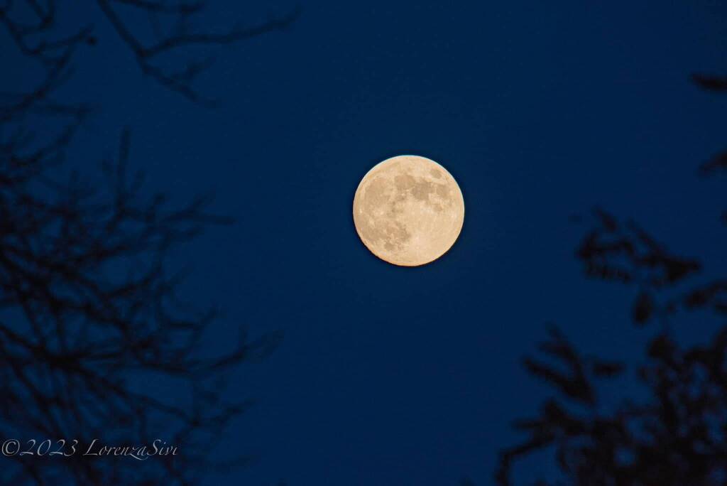 Guarda che luna e che tramonto, le foto di Lorenza Sivi