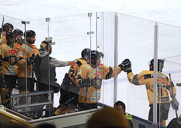 Hockey Varese - Alleghe