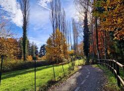 I colori dell’autunno domenica 19 novembre 