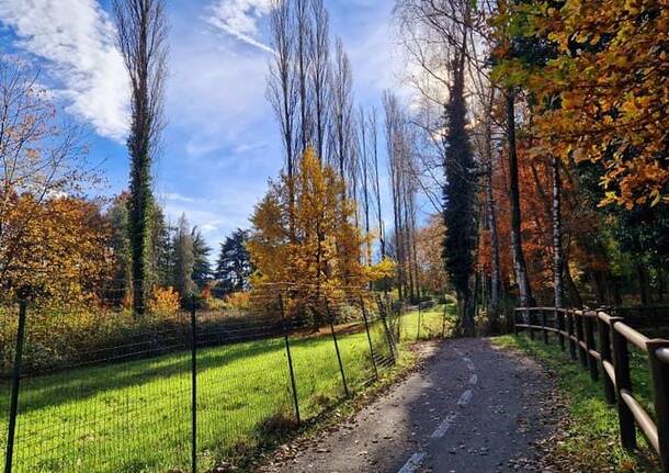 I colori dell’autunno domenica 19 novembre 