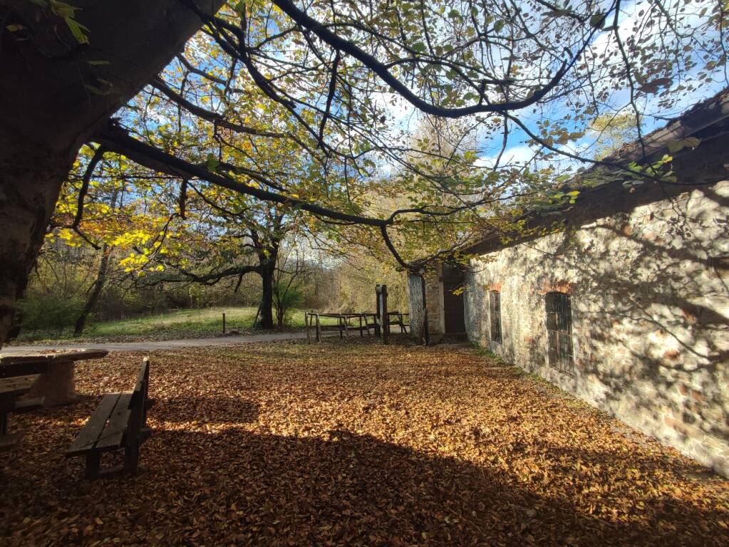 Il Magio di Ghirla e il messaggio di pace di Gianni Rodari