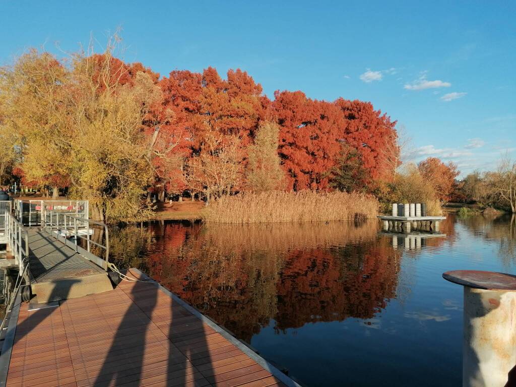 Il Magio di Ghirla e il messaggio di pace di Gianni Rodari