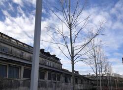Lido vandalizzato