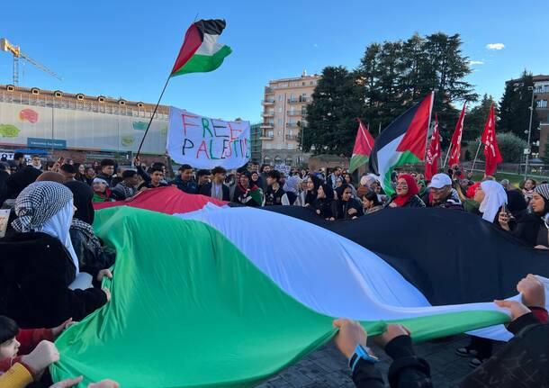 Manifestazione Palestina 