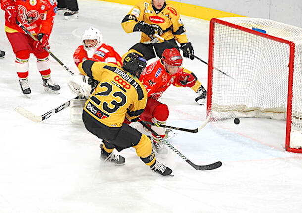 mastini varese hockey