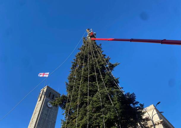 Natale a Varese - Le luci sull'albero