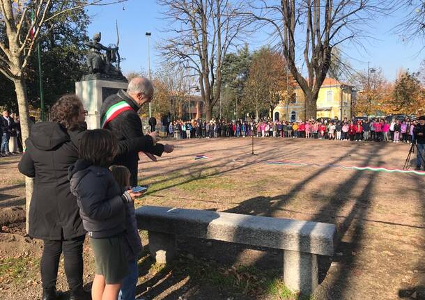 Otto nuovi tigli per piazza Cavalieri di Vittorio Veneto 