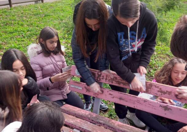 panchine contro la violenza sulle donne Villa Cortese