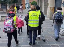 pedibus busto arsizio