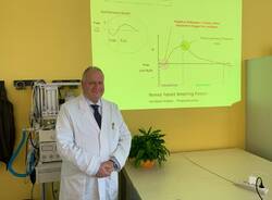 professor severgnini