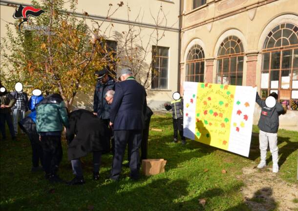 Varese - Festa degli alberi dei Carabinieri