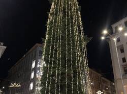 Varese - L'accensione dell'albero 2023