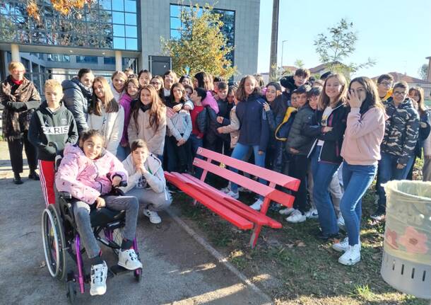 Violenza contro le donne a Villa Cortese l'installazione "No è No" e la panchina rosa