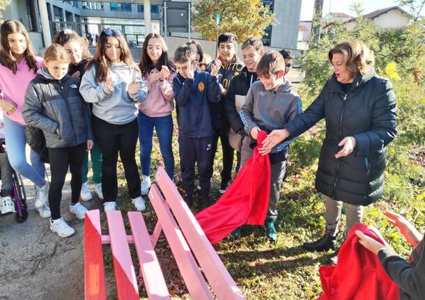 Violenza contro le donne a Villa Cortese l’installazione “No è No” e la panchina rosa