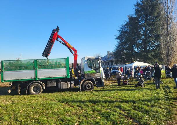 A Nerviano 122 nuovi alberi per i bimbi nati in paese nel 2022