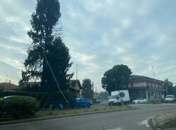 Auto abbatte un palo della luce sulla Saronnese a Rescaldina