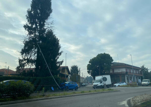 Auto abbatte un palo della luce sulla Saronnese a Rescaldina