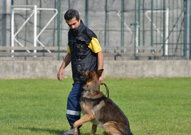 Cani "a lezione" dai Soccorritori Cinofili Volontari di Nerviano
