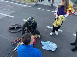 Cane cade nelle condotte fognarie inseguendo un gatto