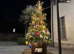 Castellanza accende l'albero di Natale