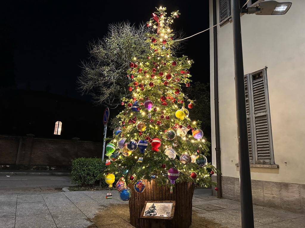 Castellanza accende l'albero di Natale