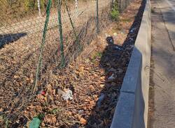 "Degrado e sporcizia in via Gasparotto, il Comune di Varese intervenga"