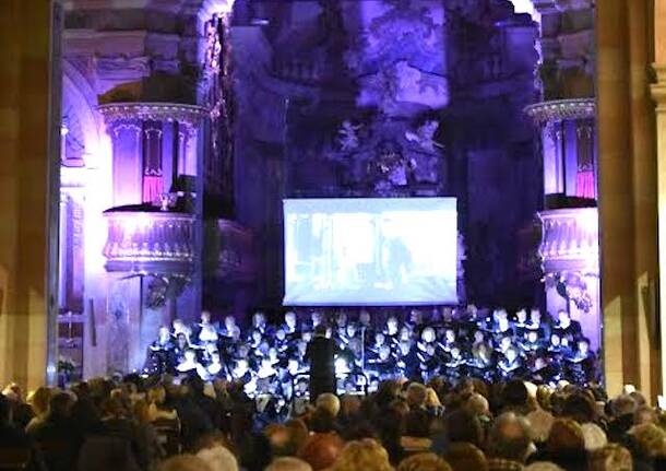 ensemble amadeus