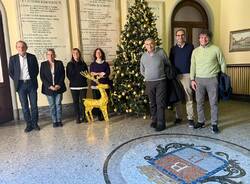 giunta busto arsizio natale 2023