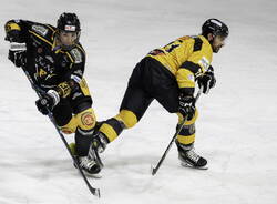 hector majul hockey su ghiaccio mastini