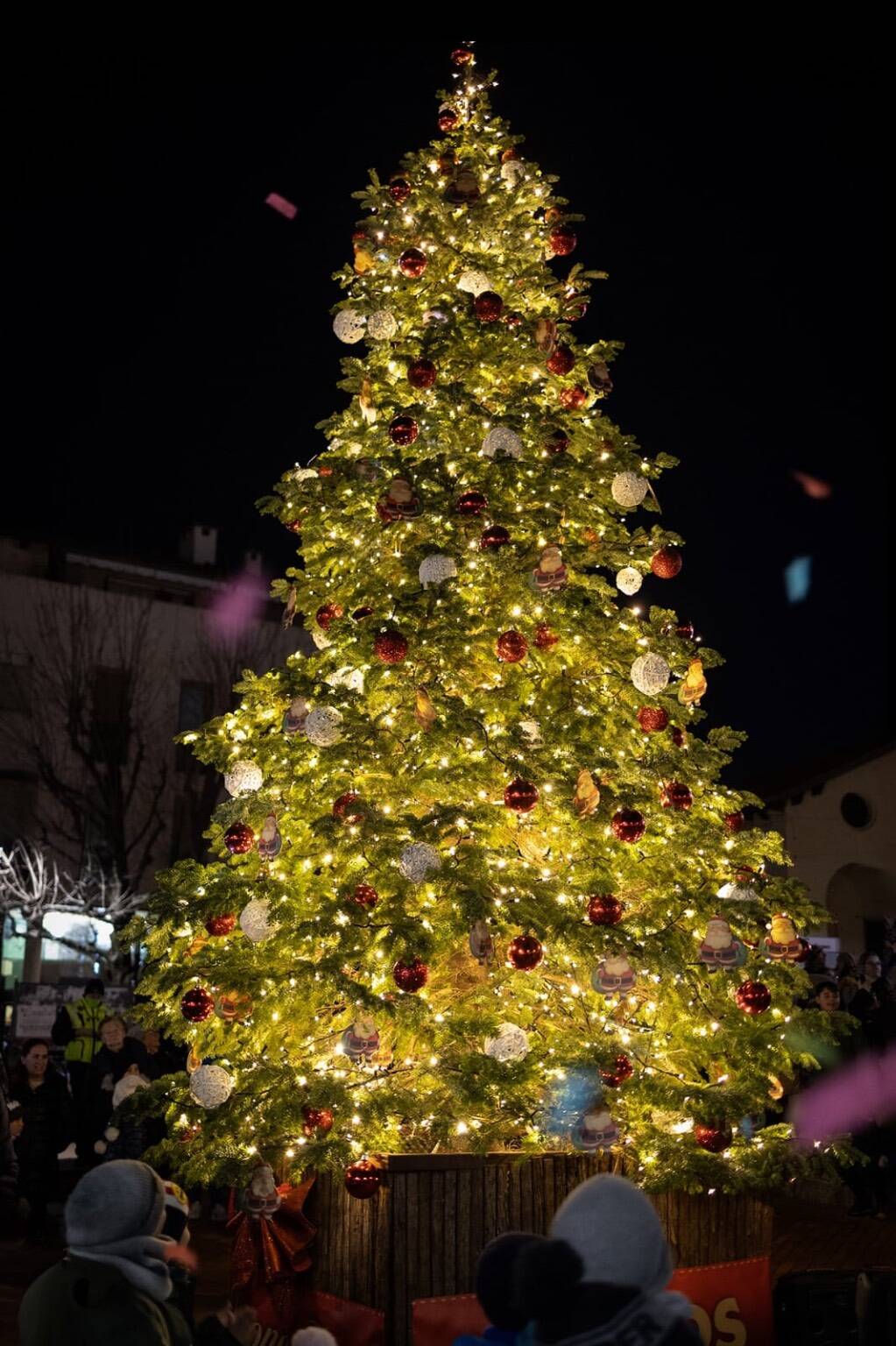 L'accensione dell'albero di Natale a Gerenzano 