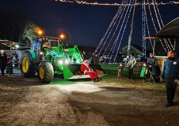 L'albero di trattori alla Fattoria Robustelli di Ranco 