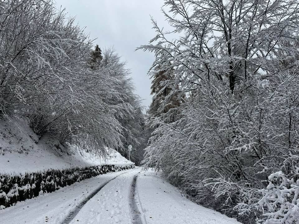 La neve a Pradecolo e Campo dei Fiori
