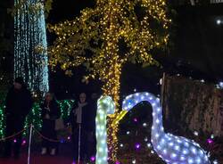 Le lucine di Leggiuno si accendono con la magia del Natale