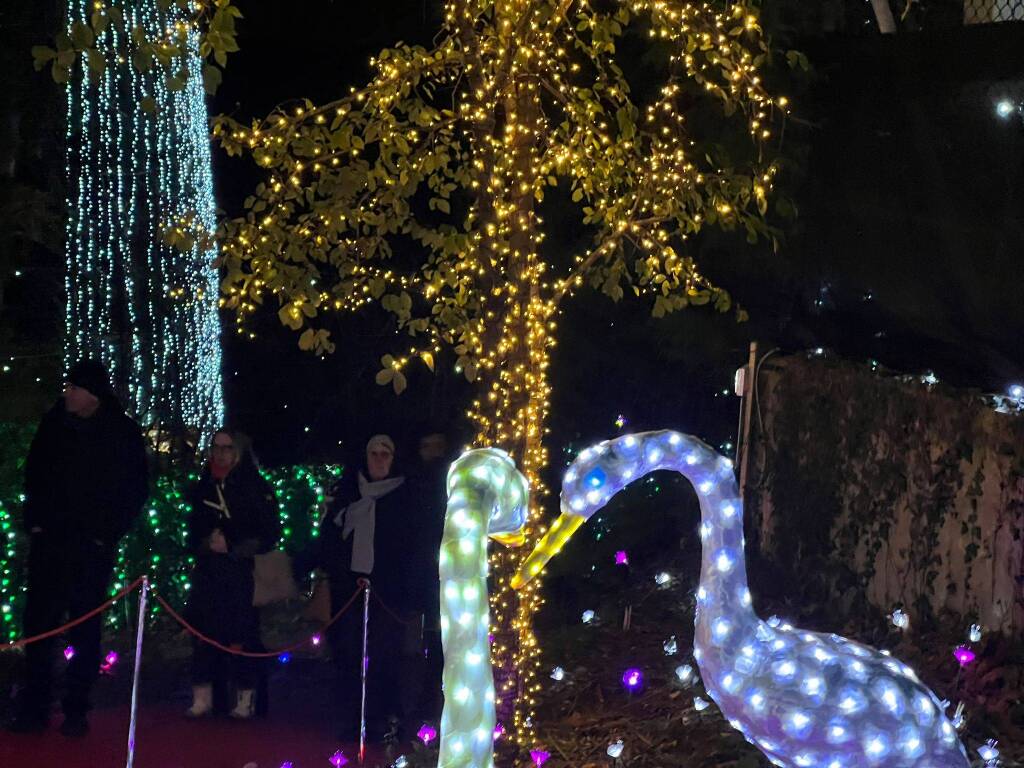 Le lucine di Leggiuno si accendono con la magia del Natale