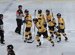 mastini varese hockey