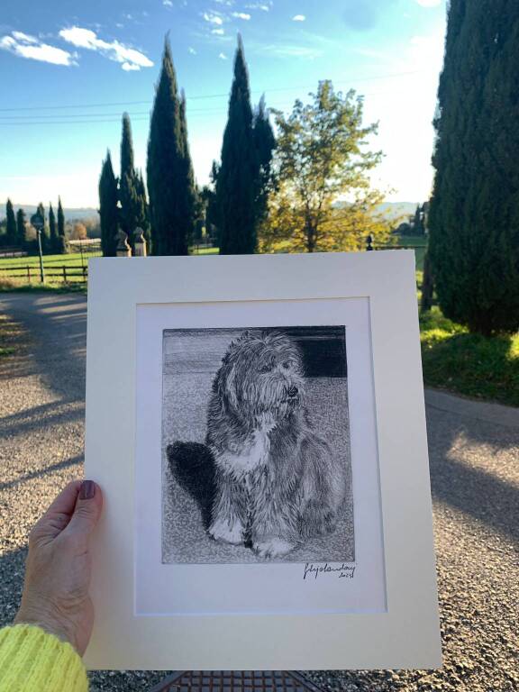 Ritratti animali di Silvia Landoni