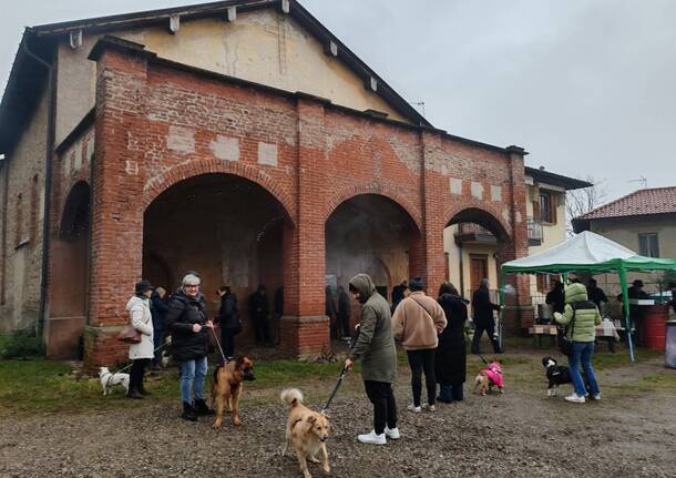 Anche a Olgiate Olona la benedizione degli animali