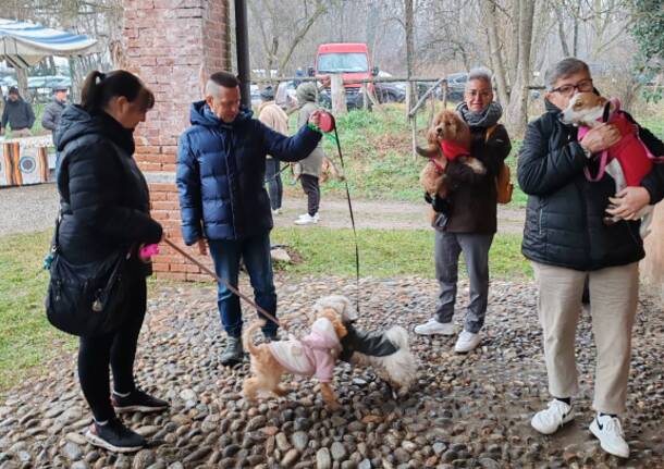 Anche a Olgiate Olona la benedizione degli animali