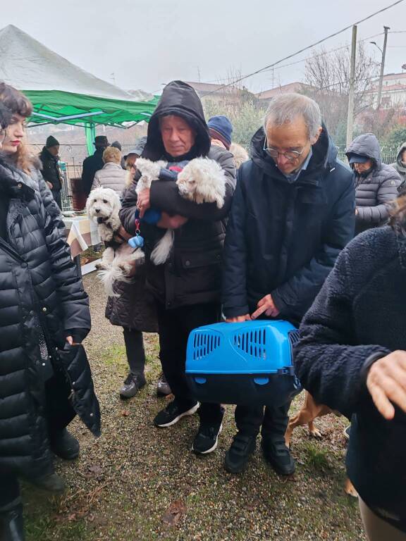 Anche a Olgiate Olona la benedizione degli animali