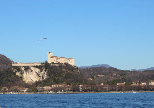 Gabbiani sulle dolci acque del Lago Maggiore (Arona)